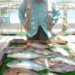 海の釣堀 海恵 釣果