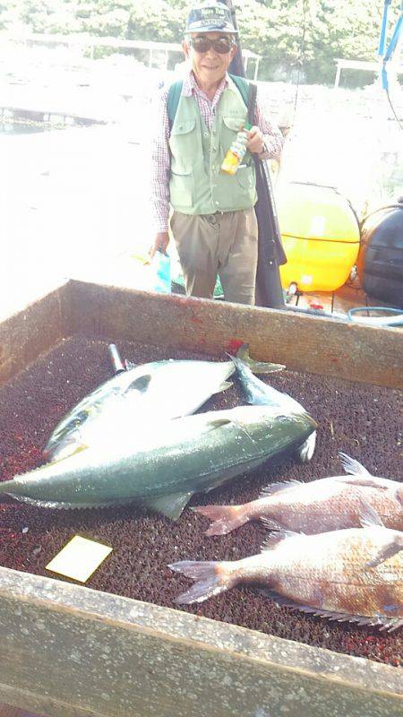 海の釣堀 海恵 釣果