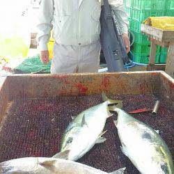海の釣堀 海恵 釣果
