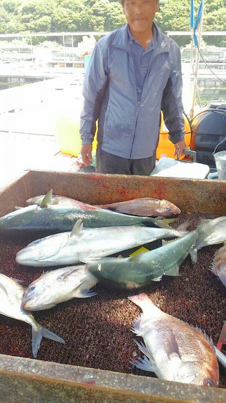 海の釣堀 海恵 釣果