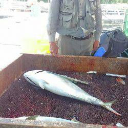 海の釣堀 海恵 釣果