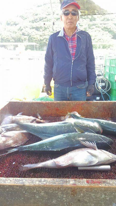海の釣堀 海恵 釣果