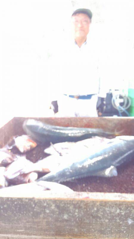 海の釣堀 海恵 釣果