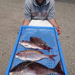 第三共栄丸 釣果