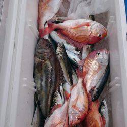 海龍丸（石川） 釣果