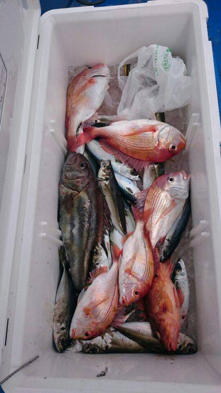 海龍丸（石川） 釣果