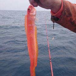 海龍丸（石川） 釣果