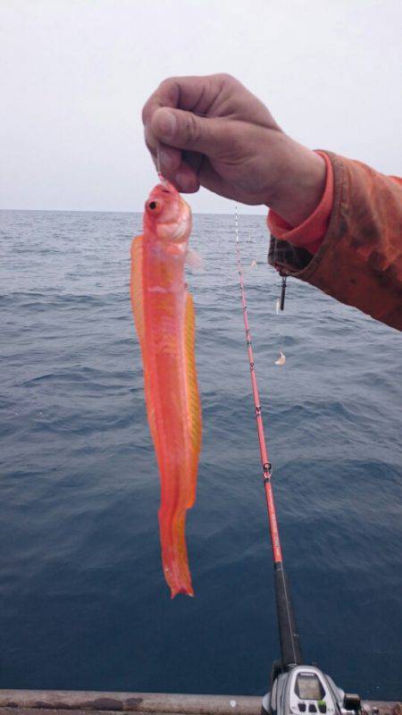 海龍丸（石川） 釣果