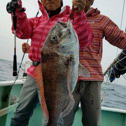 だて丸 釣果