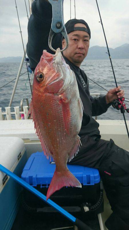 ARCADIAⅡ (アルカディアⅡ) 釣果