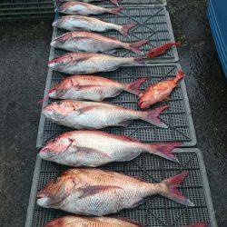 ARCADIAⅡ (アルカディアⅡ) 釣果