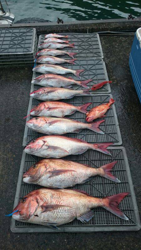 ARCADIAⅡ (アルカディアⅡ) 釣果