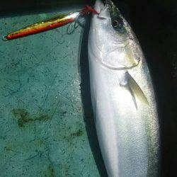 サンマリン 釣果