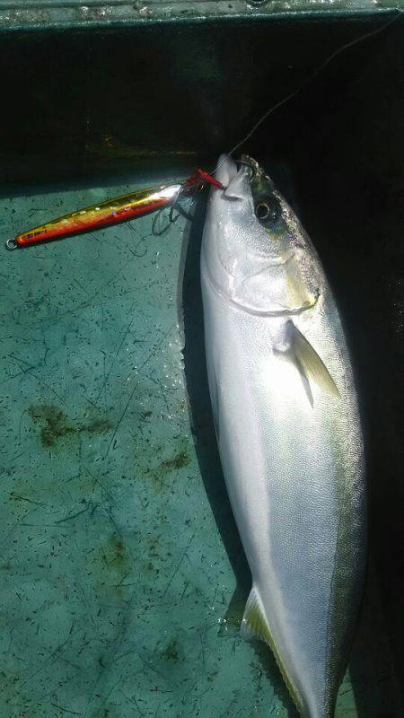 サンマリン 釣果