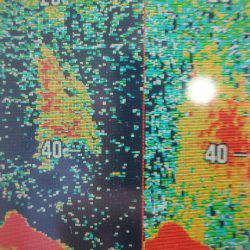 サンマリン 釣果
