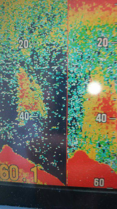 サンマリン 釣果