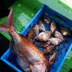 小島丸 釣果