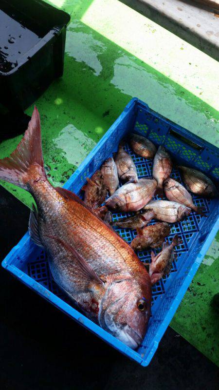 小島丸 釣果