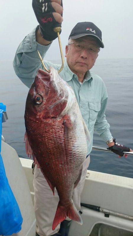 ARCADIAⅡ (アルカディアⅡ) 釣果