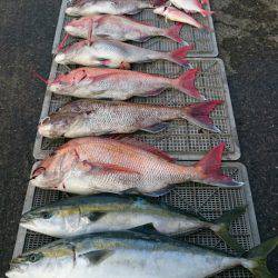 ARCADIAⅡ (アルカディアⅡ) 釣果