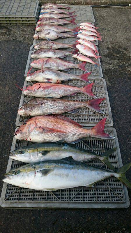 ARCADIAⅡ (アルカディアⅡ) 釣果