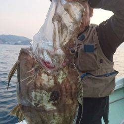 あみや渡船 JIGBOY 釣果