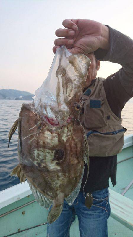 あみや渡船 JIGBOY 釣果