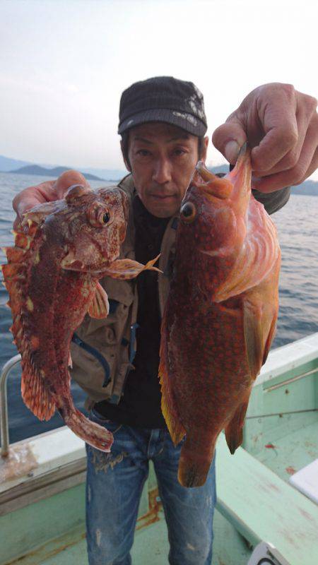 あみや渡船 JIGBOY 釣果