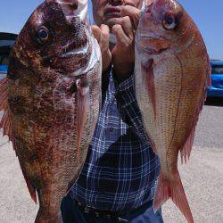 第三共栄丸 釣果