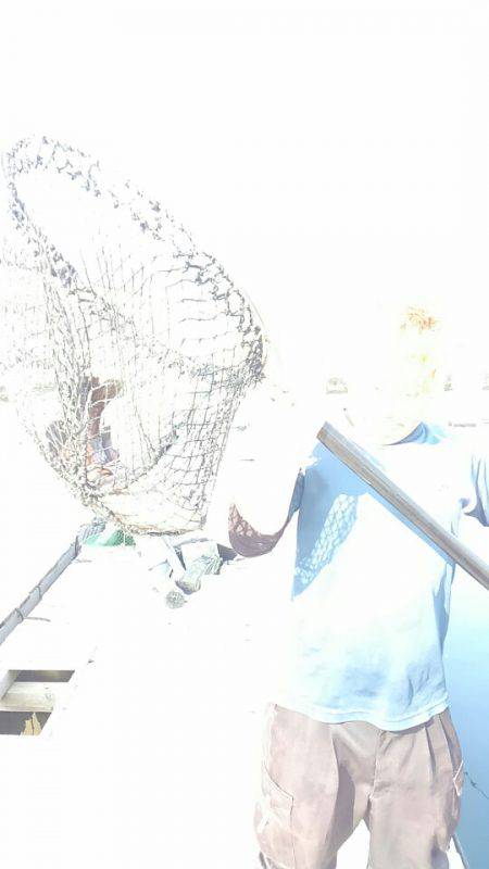 海の釣堀 海恵 釣果