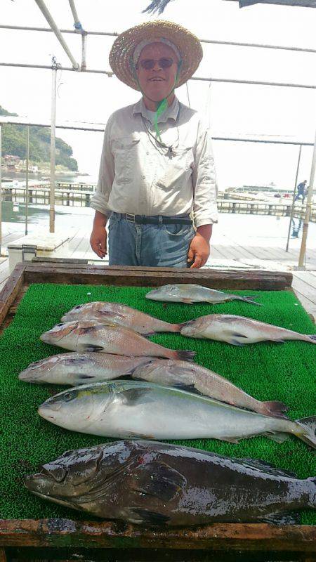 海の釣堀 海恵 釣果