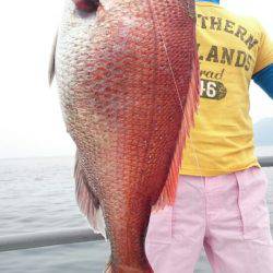 ARCADIAⅡ （アルカディアⅡ） 釣果