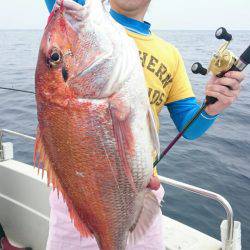 ARCADIAⅡ （アルカディアⅡ） 釣果