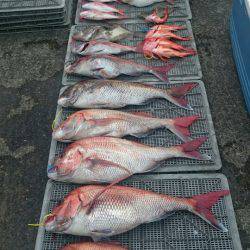 ARCADIAⅡ （アルカディアⅡ） 釣果