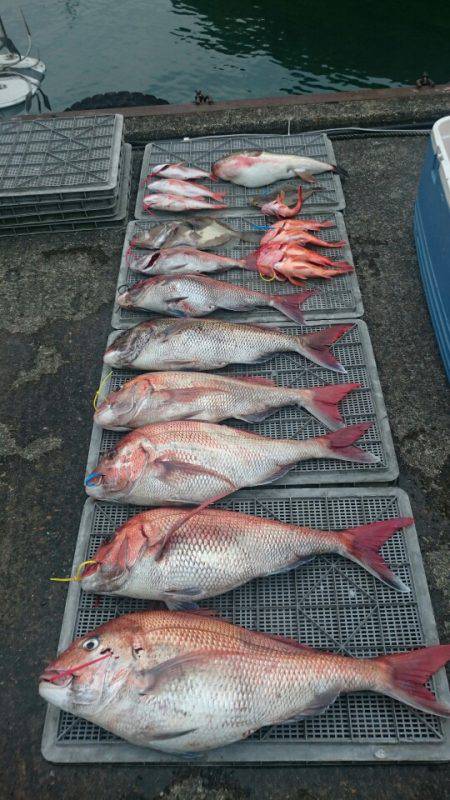 ARCADIAⅡ （アルカディアⅡ） 釣果