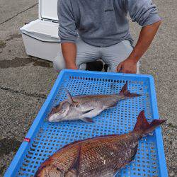 第三共栄丸 釣果