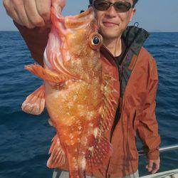 ARCADIAⅡ (アルカディアⅡ) 釣果