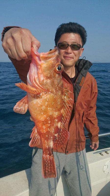 ARCADIAⅡ (アルカディアⅡ) 釣果