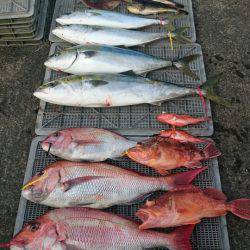 ARCADIAⅡ (アルカディアⅡ) 釣果