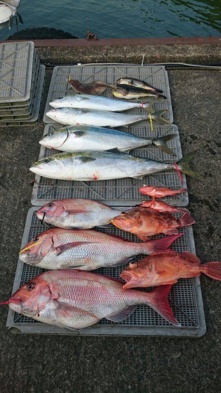 ARCADIAⅡ (アルカディアⅡ) 釣果