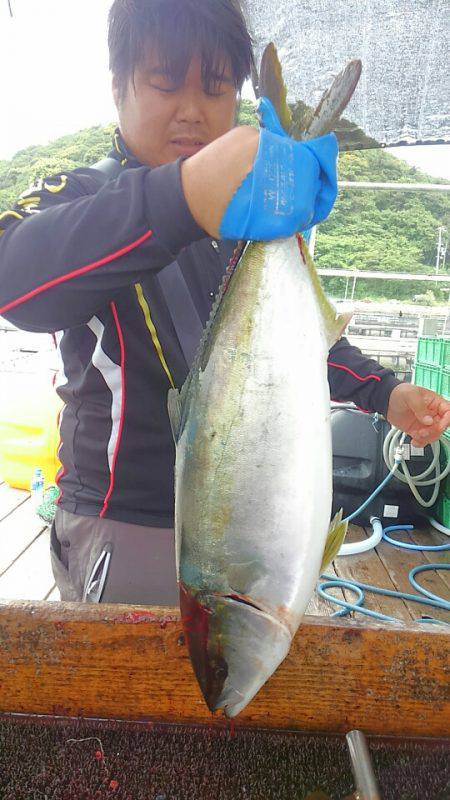 海の釣堀 海恵 釣果