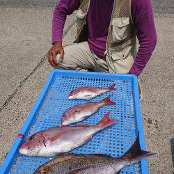 第三共栄丸 釣果