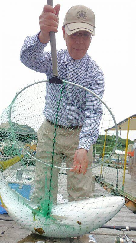 海の釣堀 海恵 釣果