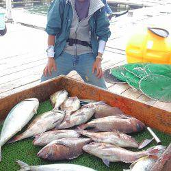 海の釣堀 海恵 釣果