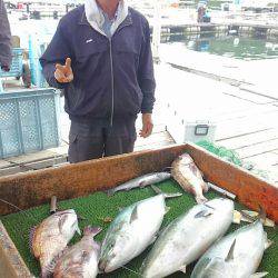 海の釣堀 海恵 釣果