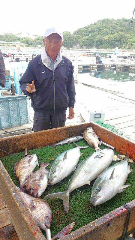 海の釣堀 海恵 釣果