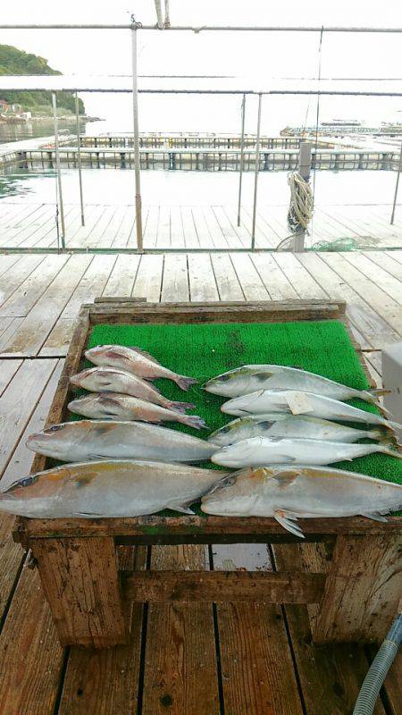 海の釣堀 海恵 釣果