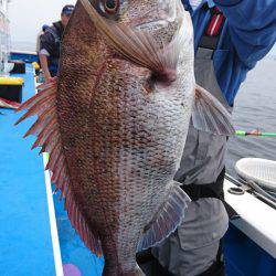 第三共栄丸 釣果