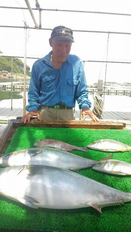 海の釣堀 海恵 釣果