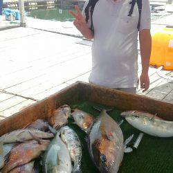 海の釣堀 海恵 釣果